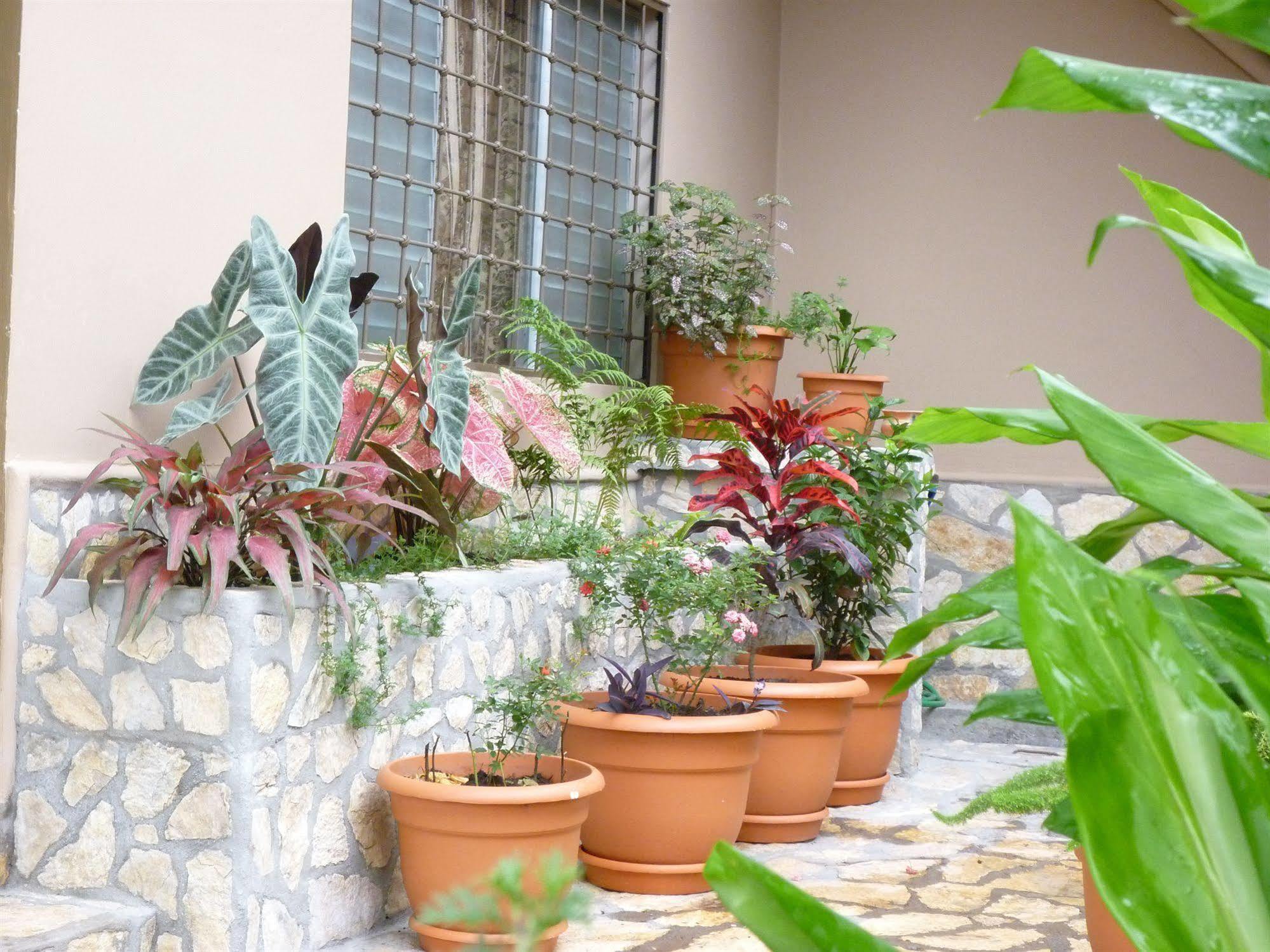 Hotel La Escalinata Copán Εξωτερικό φωτογραφία